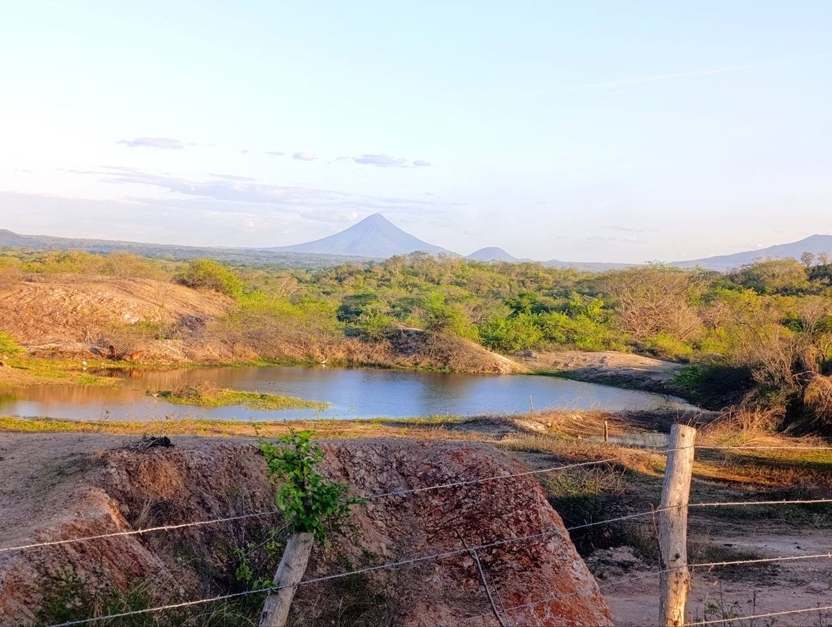 Cañón Digital tweet media