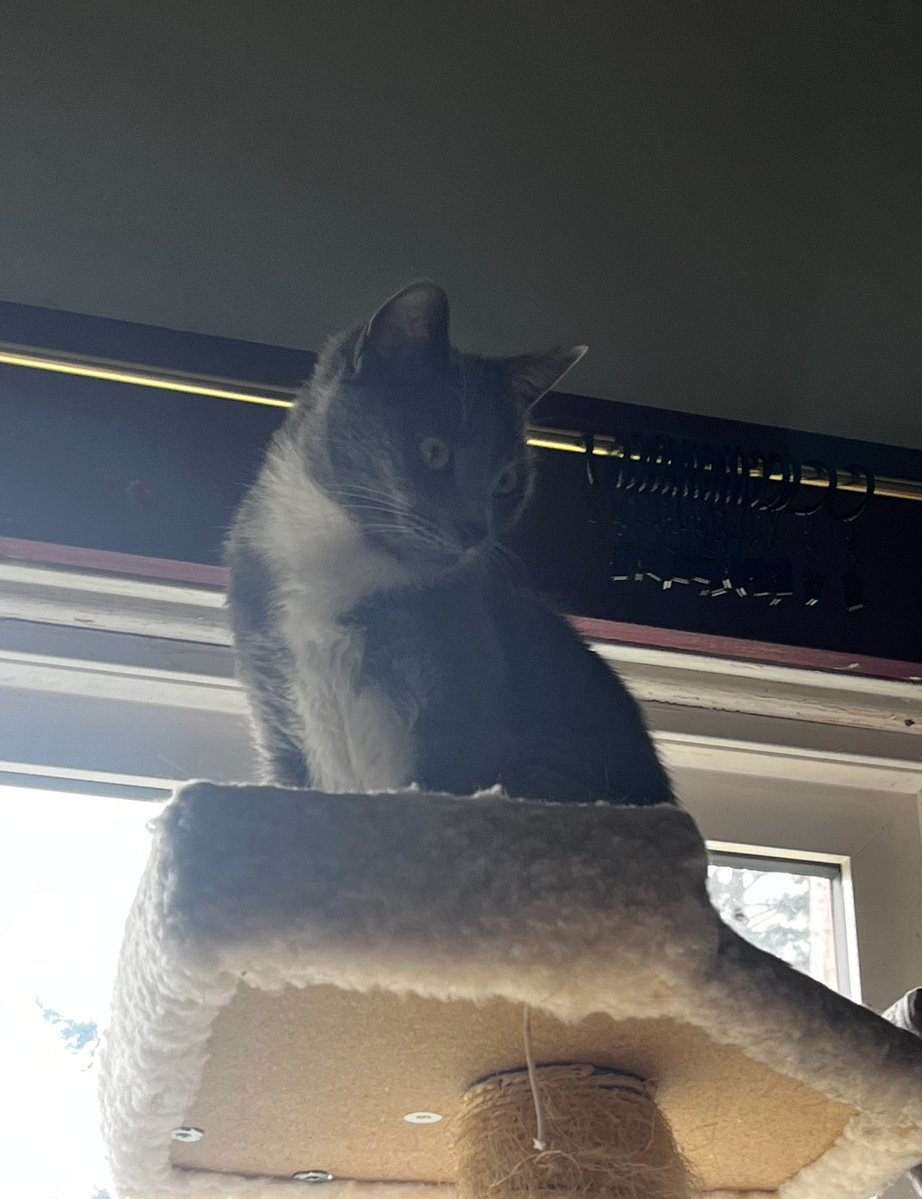 💖 Melody 💖 tweet media