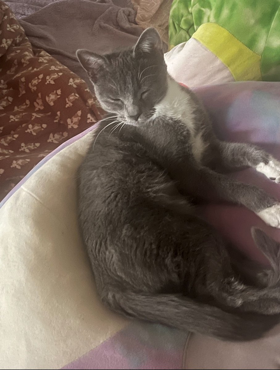 💖 Melody 💖 tweet media