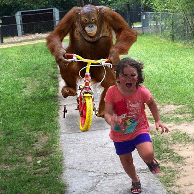 💫💬🍃👍🍮 tweet media