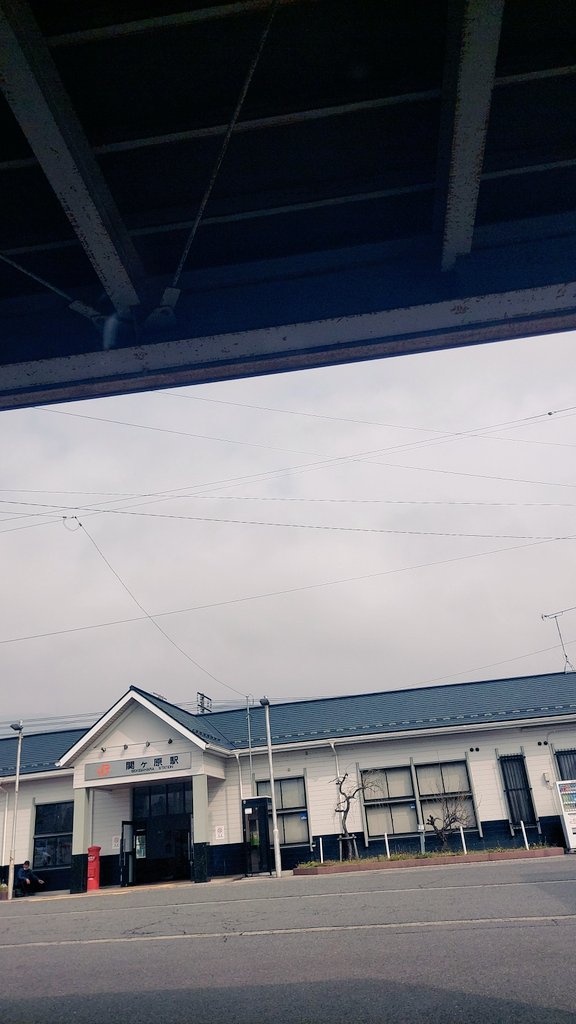 『WD』パイン　🐑 tweet media