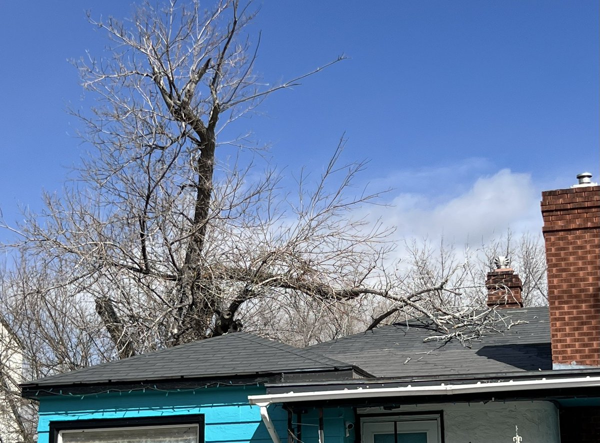 THE HERD HOUSE tweet media