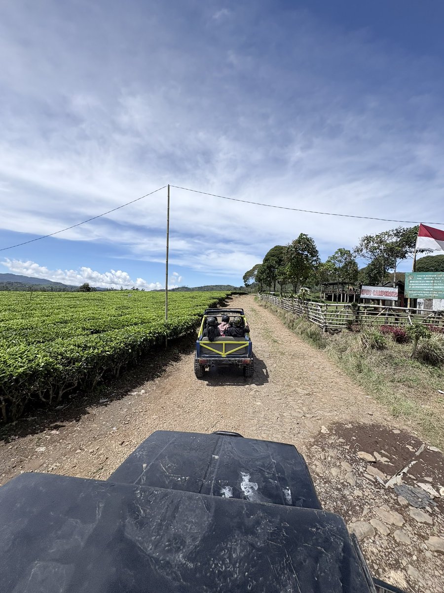 minchi^^ tweet media