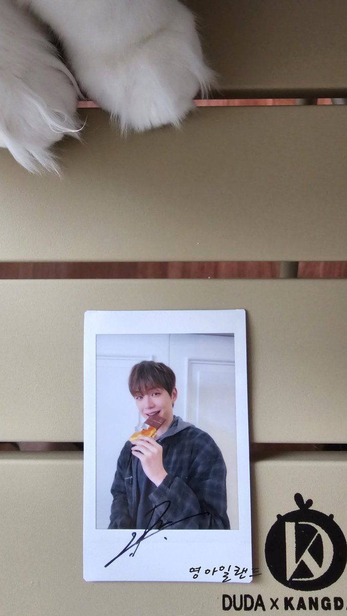 영아일랜드 tweet media