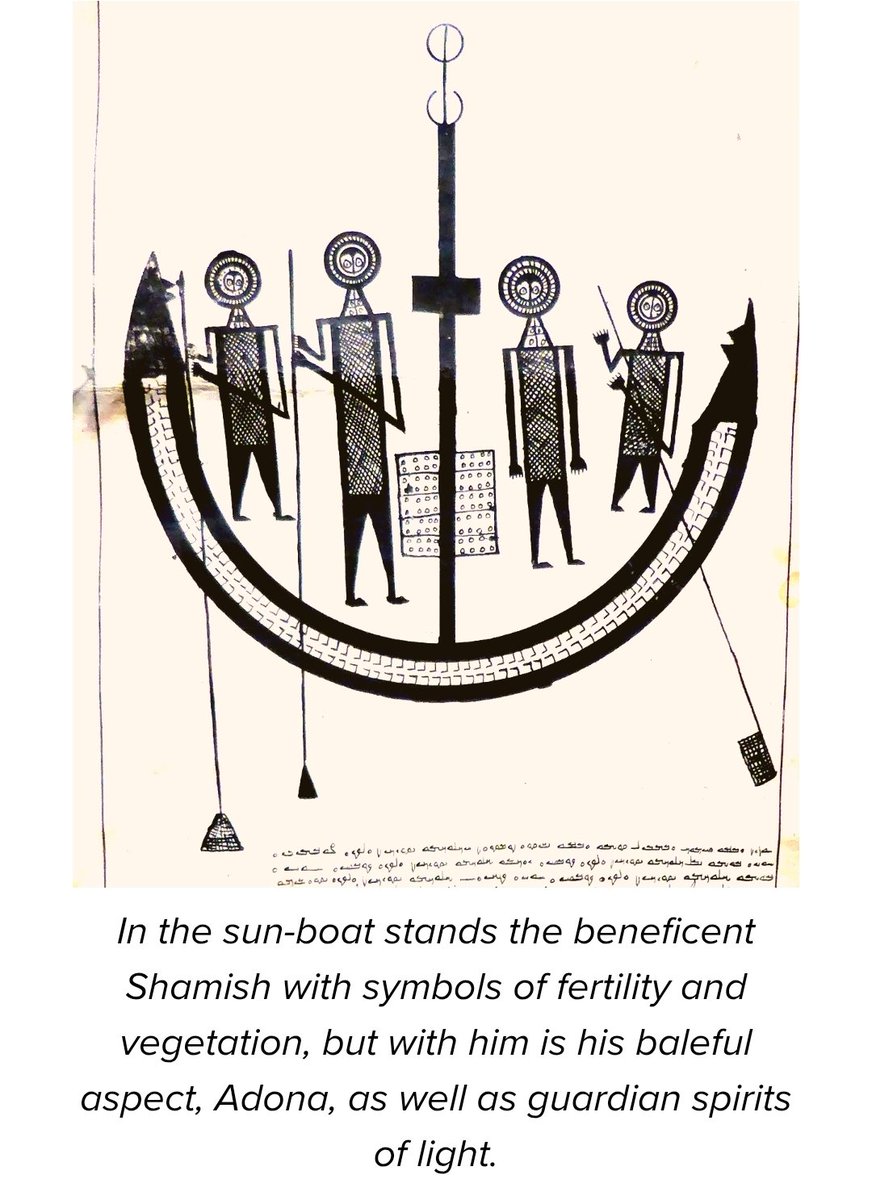 Albion Rose tweet media