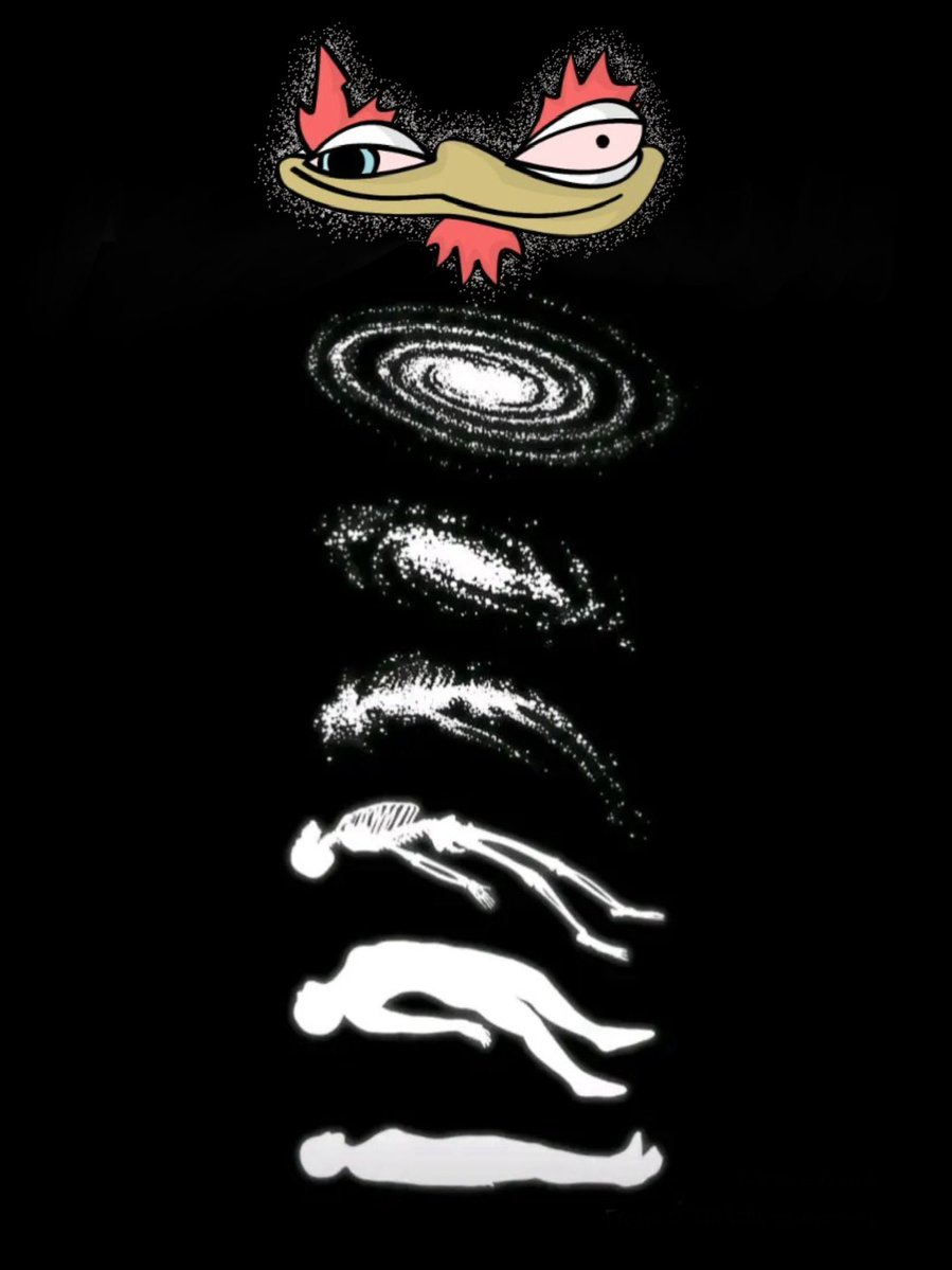 Vizzle Dizzle tweet media