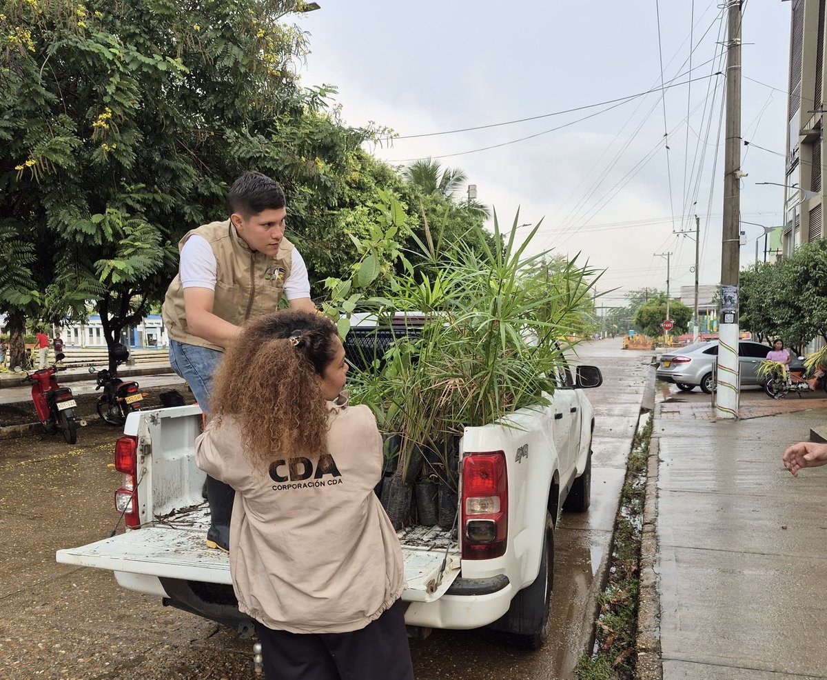 CorporacionCDA's tweet image. 🌿 En la celebración del domingo de Ramos, la seccional Guaviare entregó plántulas en iglesias, promoviendo reemplazar las ramas por árboles. Una invitación a sembrar vida, conciencia y compromiso con el ambiente. 🌱 #CDA #DomingoDeRamos #Sostenibilidad