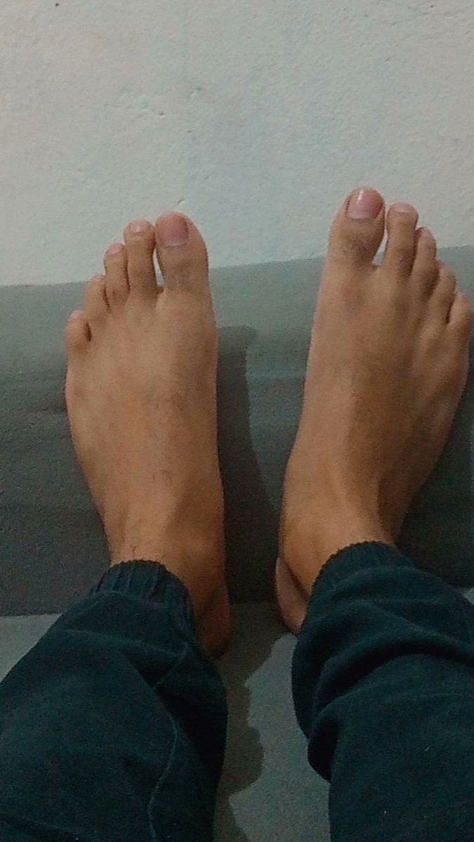 DANIELZIN 🐎 (15%Off) tweet media