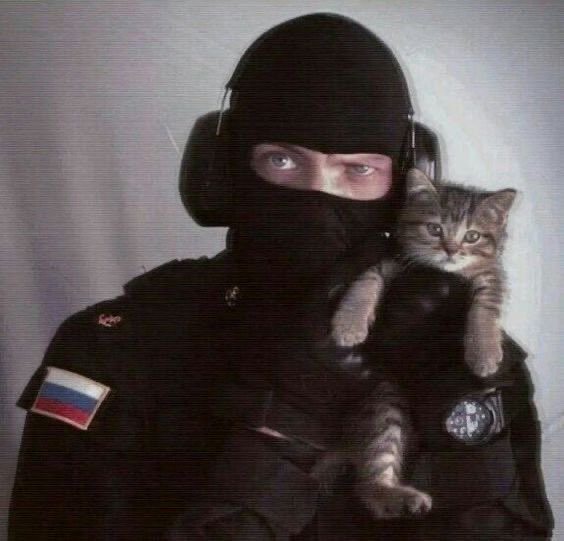 No Cats No Life tweet media