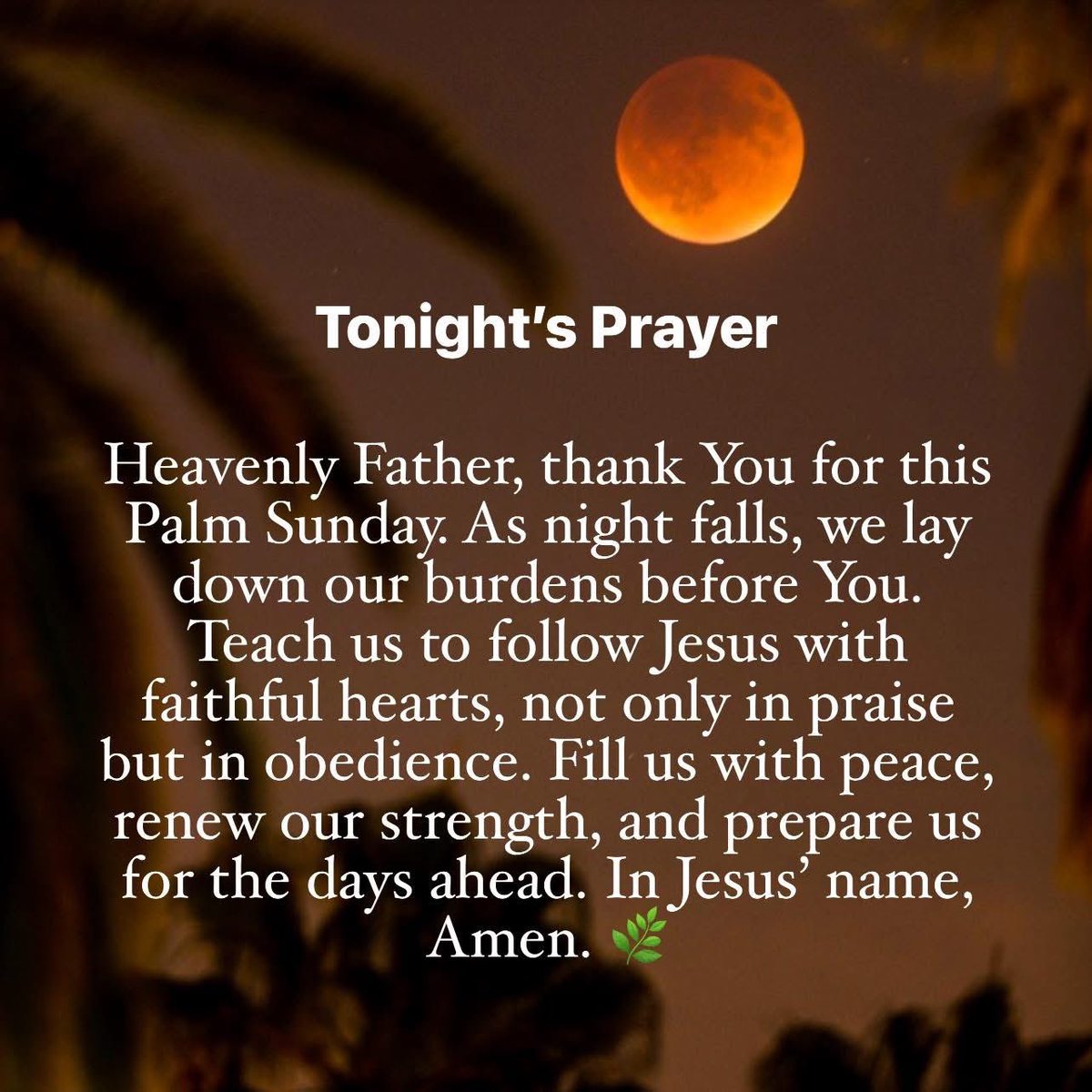 Joe_S_Pure🩸 tweet media