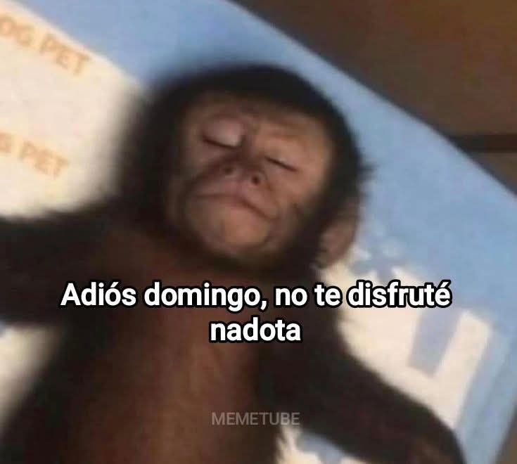 El Guarromántico tweet media