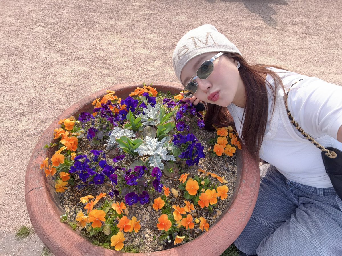 nannirin varokornwatcharakool tweet media