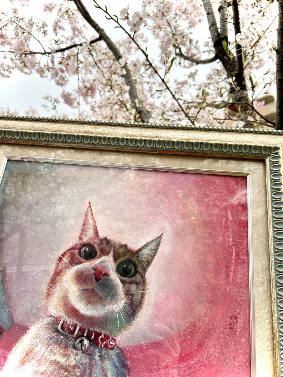 アカネコ tweet media