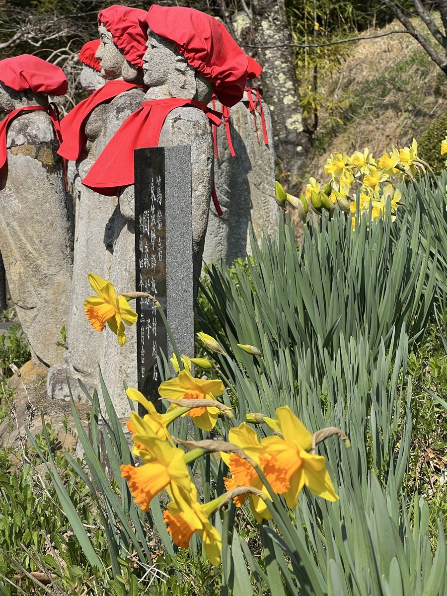 国宝三重塔 大法寺 │daihouji tweet media