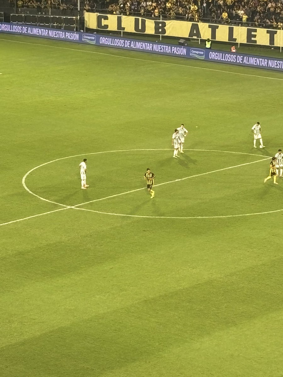 Franco Trucce tweet media