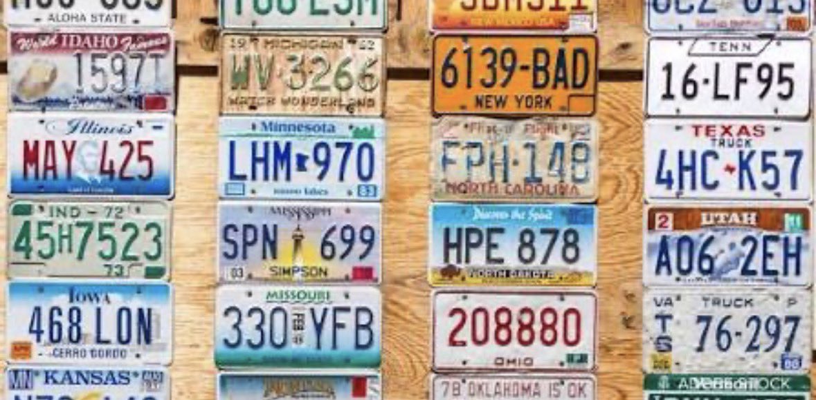 Nurse Lioness tweet media