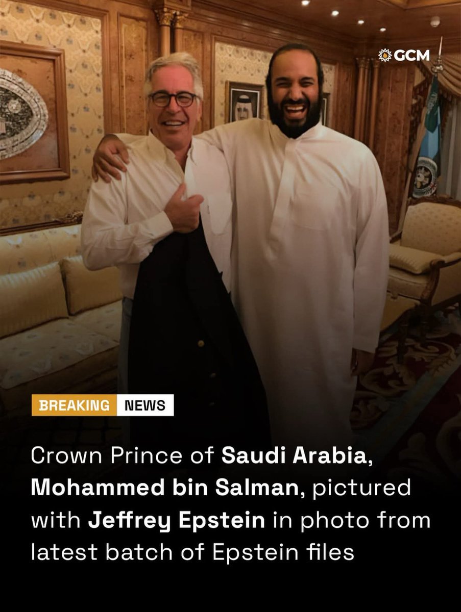 lelelawar 🦇 tweet media