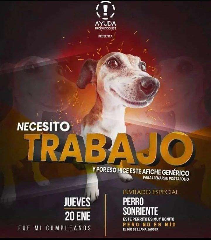 Clov! 🍉 tweet media