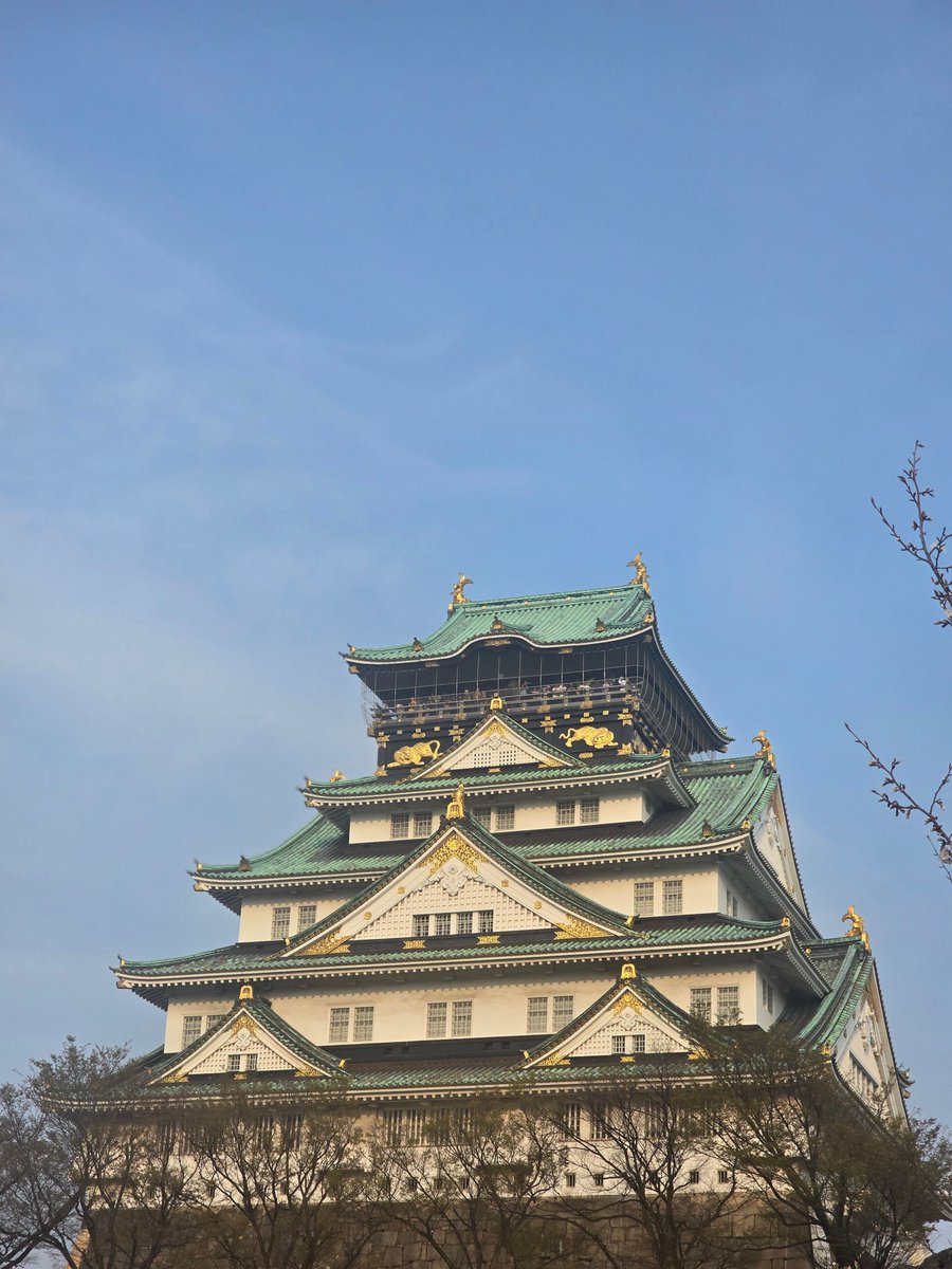 T4M0🌌 tweet media