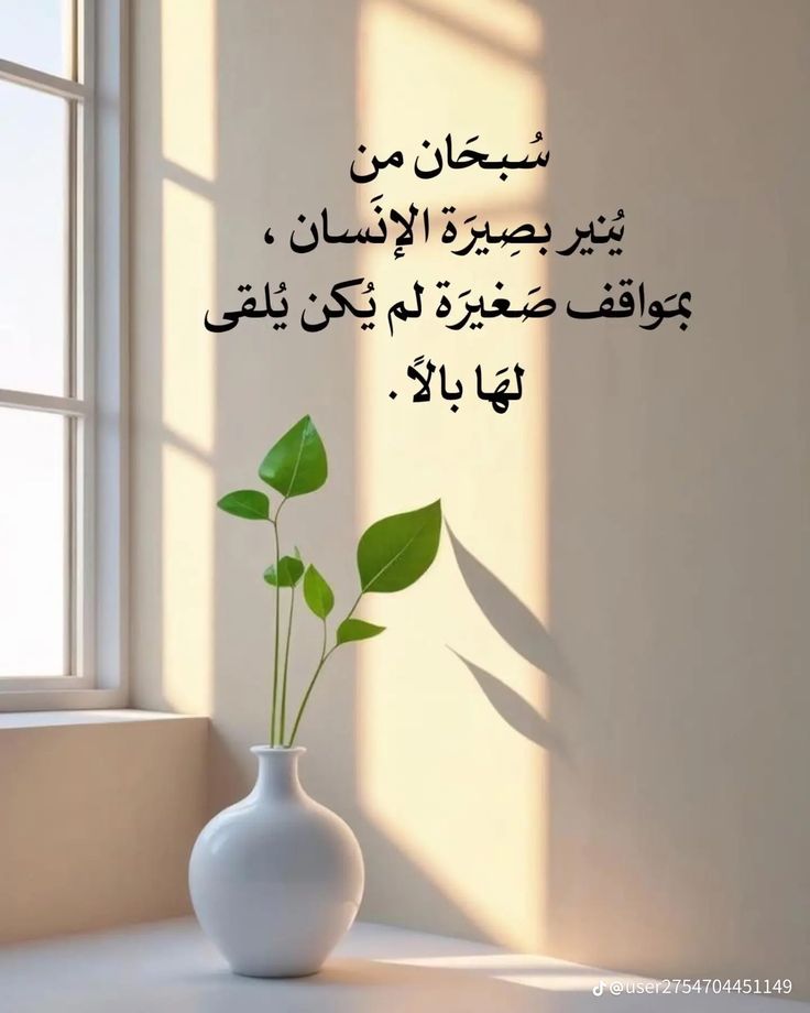 هُدُوء | سُكُون tweet media