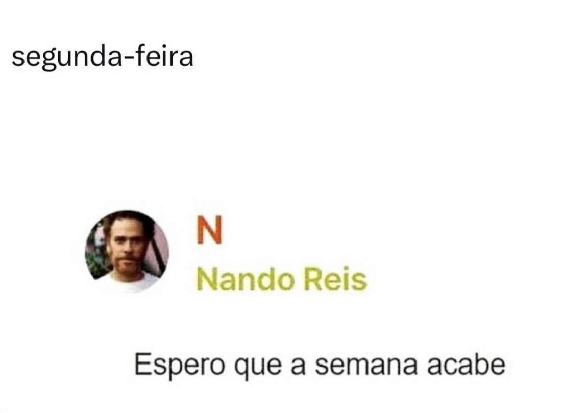 gatuna das promoções tweet media