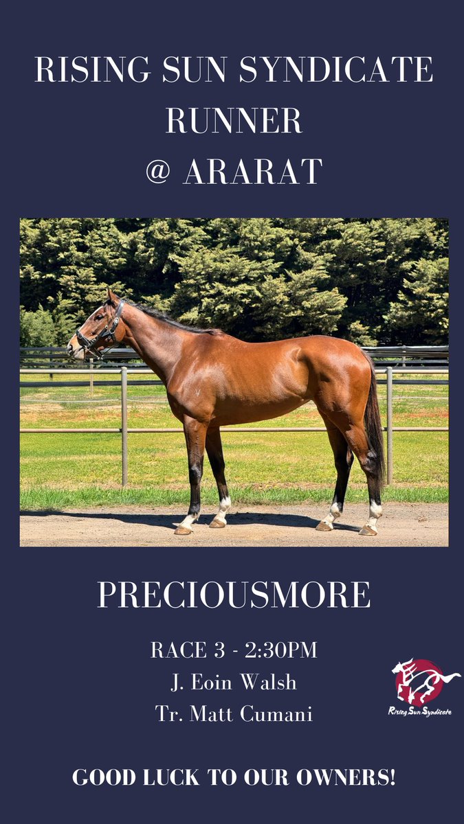 Rising Sun Syndicate🇯🇵 tweet media