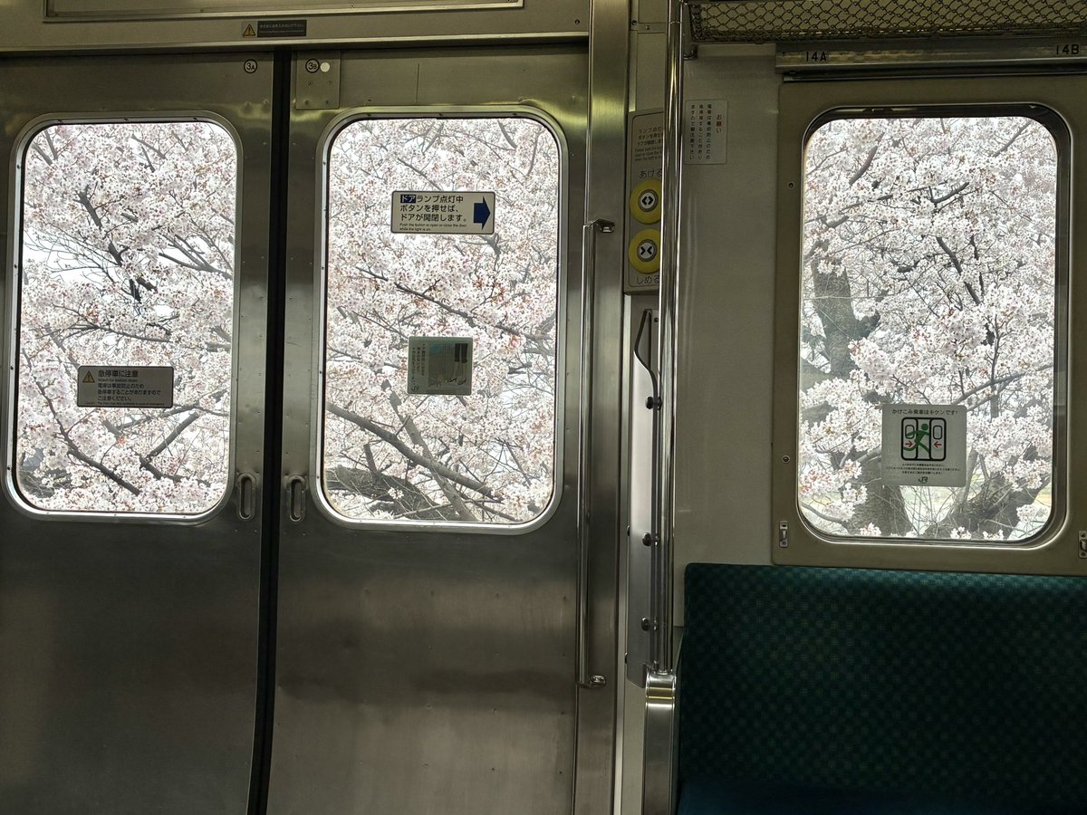 ✩︎⡱ tweet media