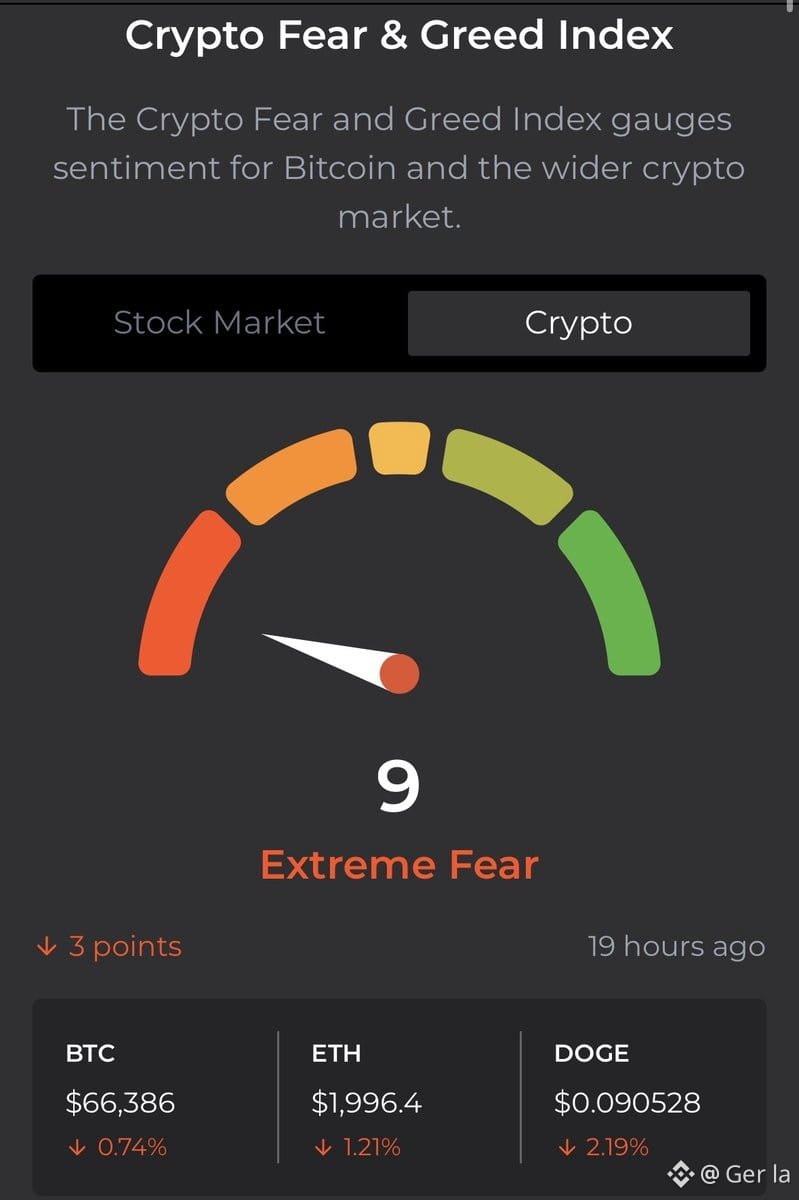 🚨BSC Gems Alert🚨 tweet media