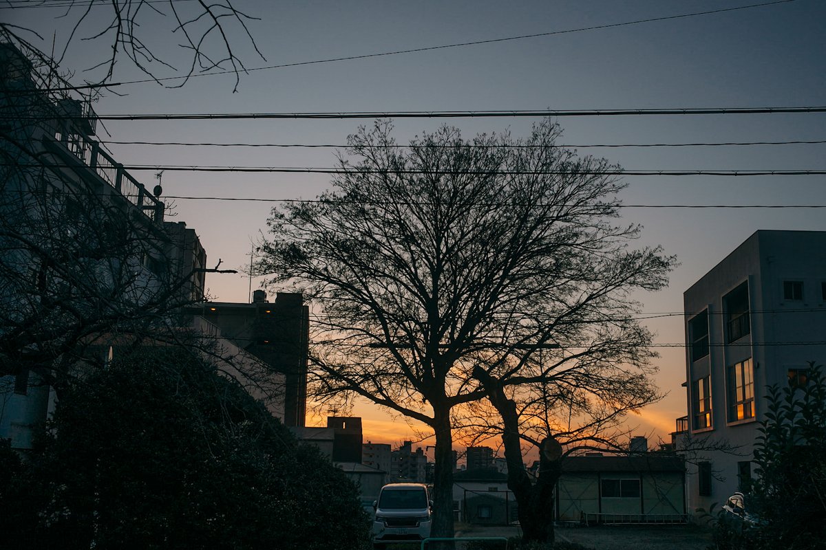 でにひろ tweet media