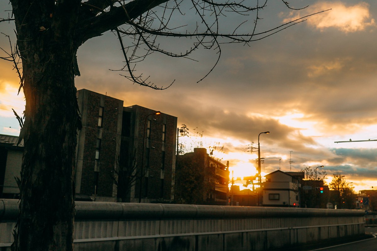 でにひろ tweet media