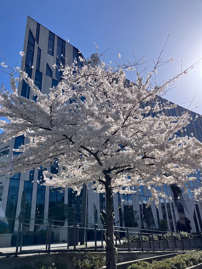 喜一工具株式会社【公式】 tweet media