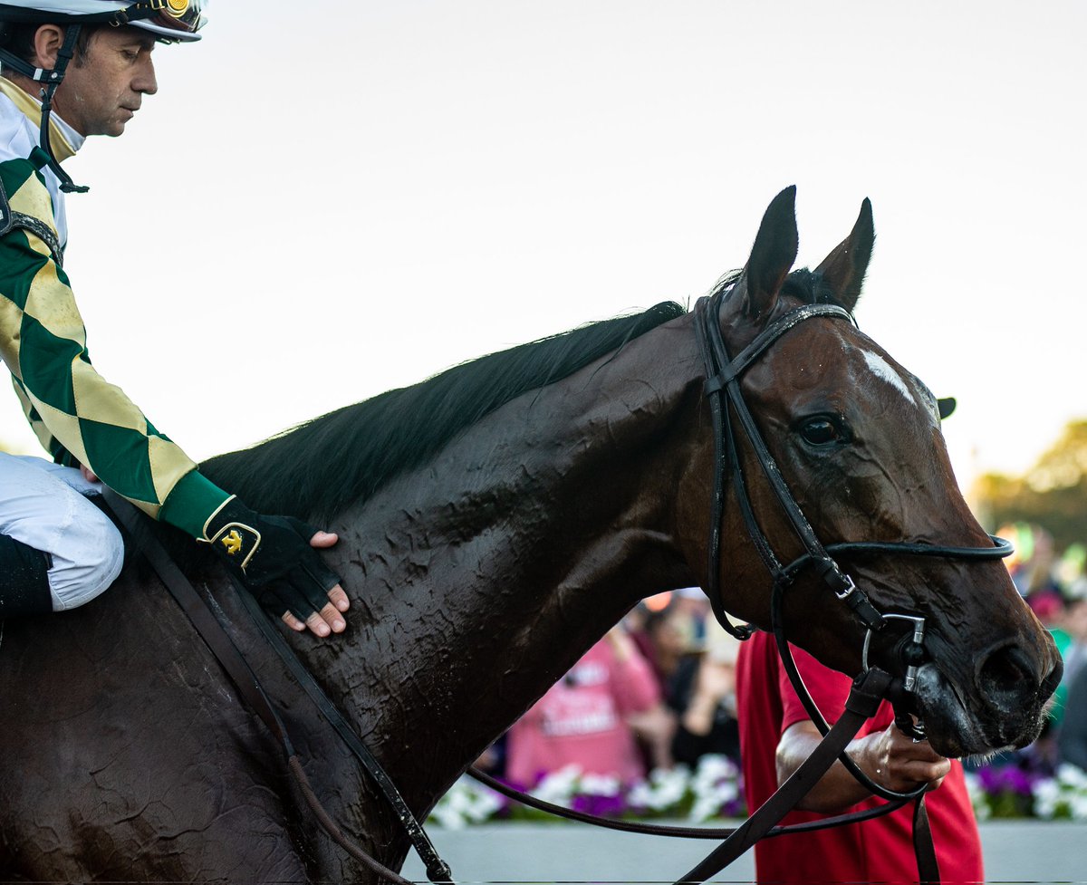 Carson Blevins tweet media