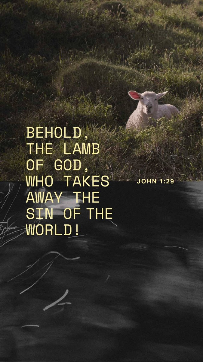 Blessy Binu tweet media