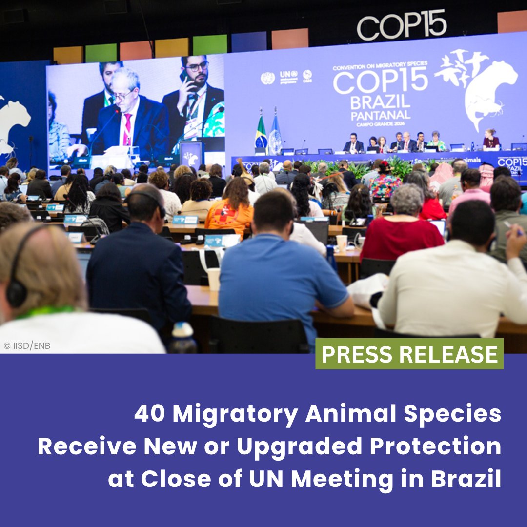 Convention on Migratory Species (CMS) tweet media