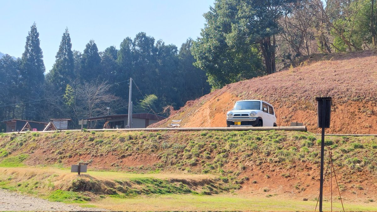 セロリ tweet media