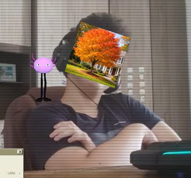 🍁Emily Mapletree🍁 tweet media