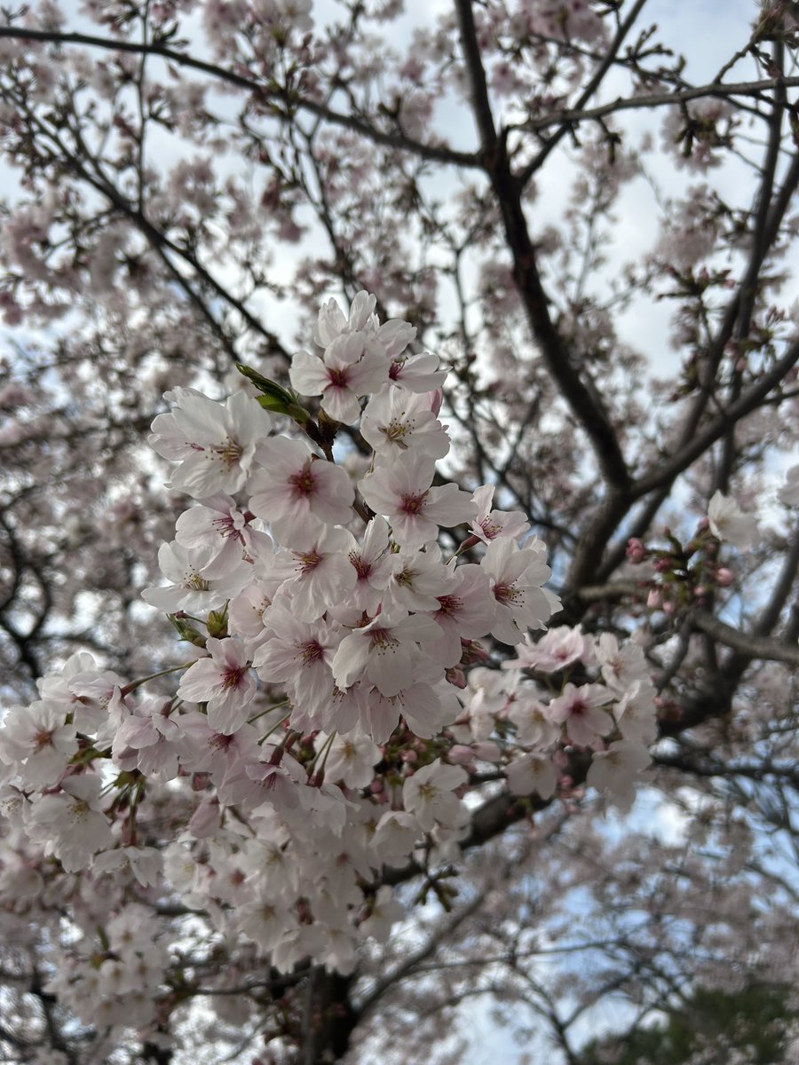 コーヒーでも買ってくればよかった