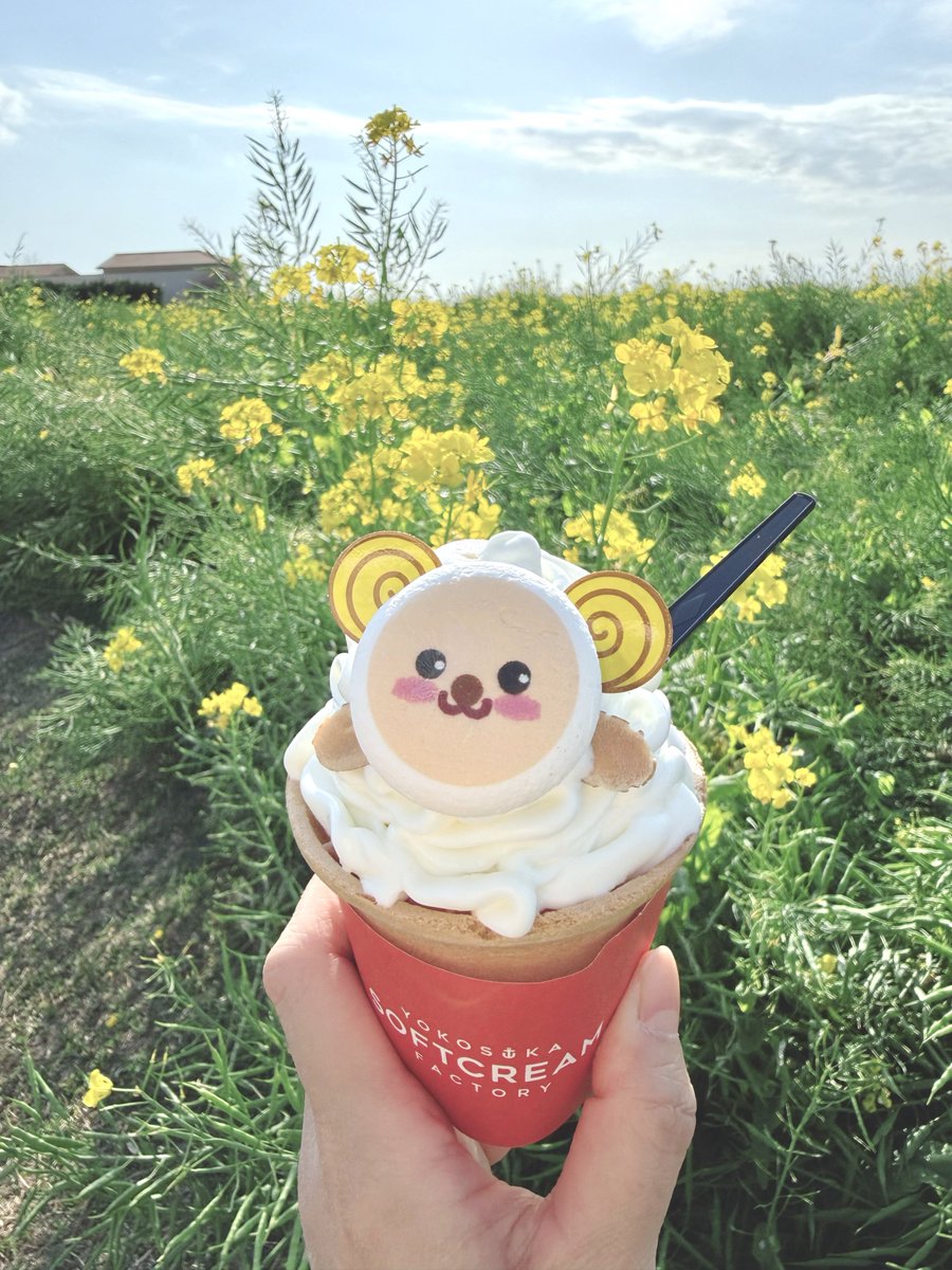 しらとあきこ tweet media