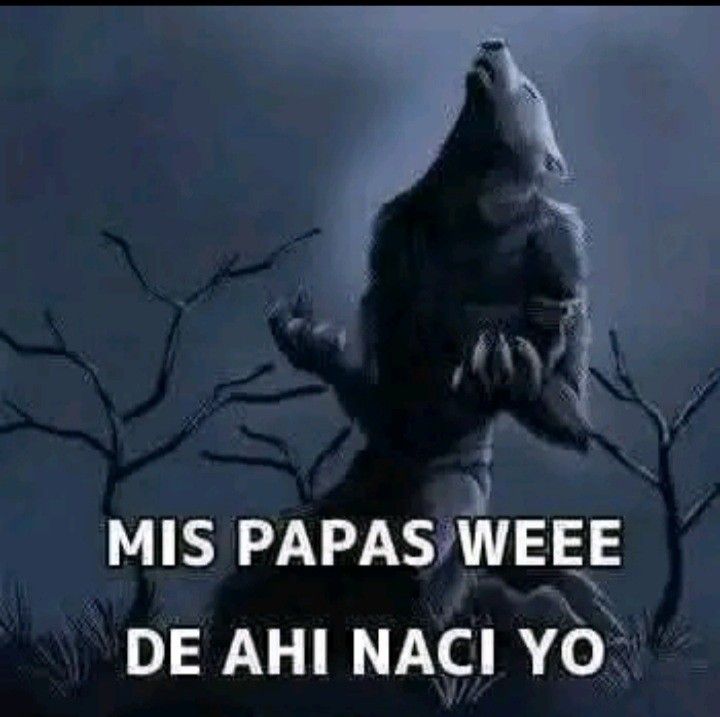 𝐀𝐥𝐞𝐱𝐚 ☾ tweet media