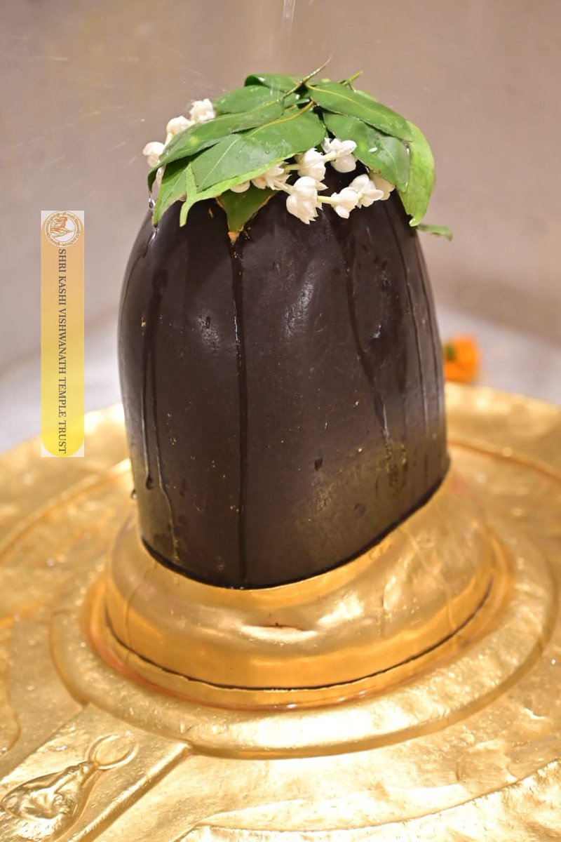 Satya Sarcasm tweet media