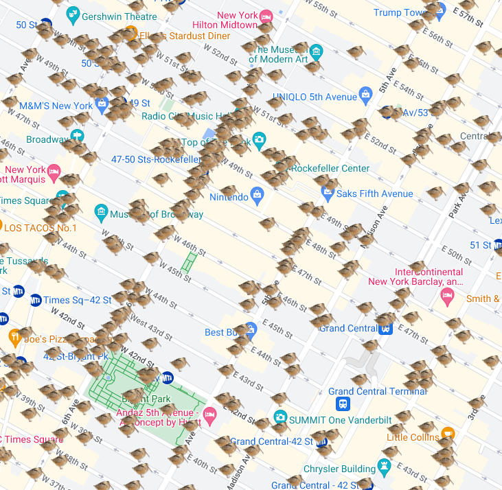 Robert Francis tweet media