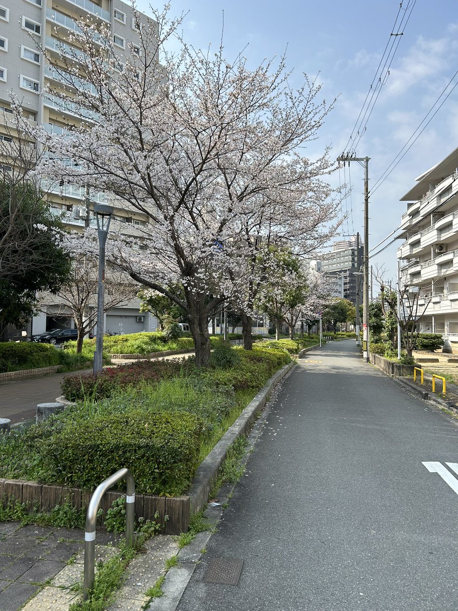 しょうえもん tweet media