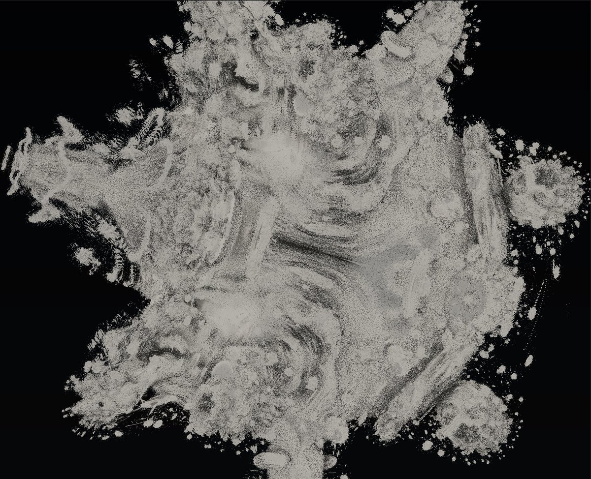 Weston Beecroft tweet media