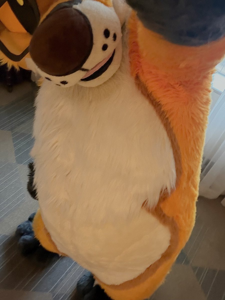 Riley 🦊✈️ tweet media