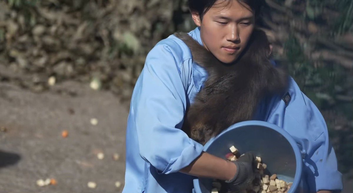 パンチくん tweet media