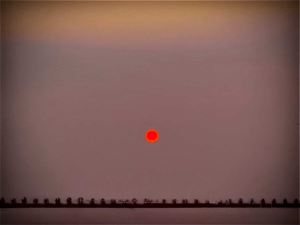 C牌月老記事本 tweet media