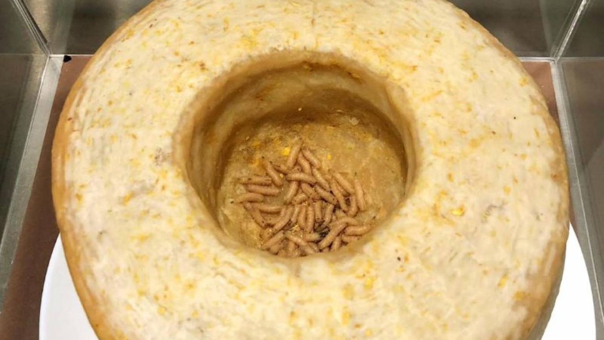 Javier 16-Bitlei tweet media