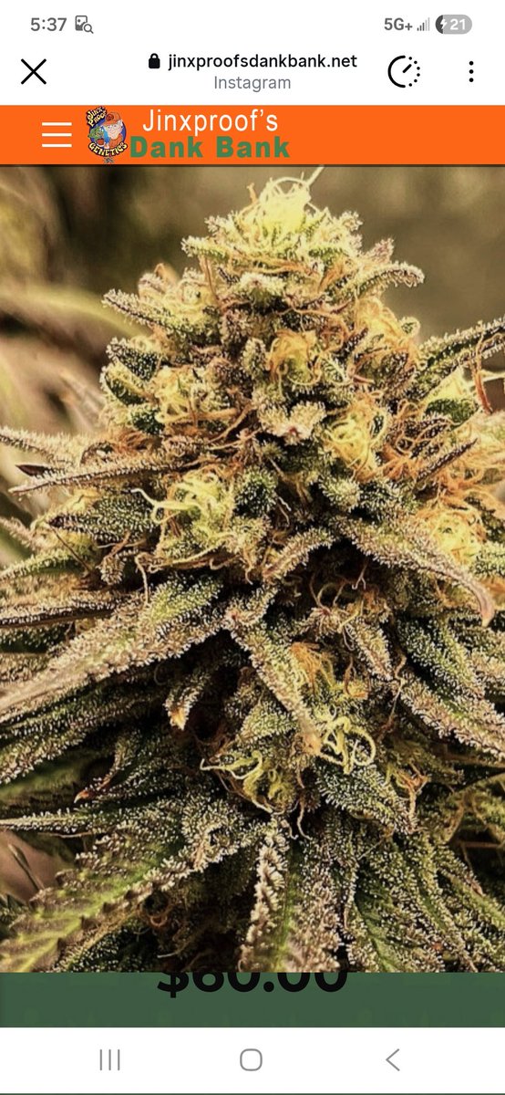 Jinxproof Genetics tweet media