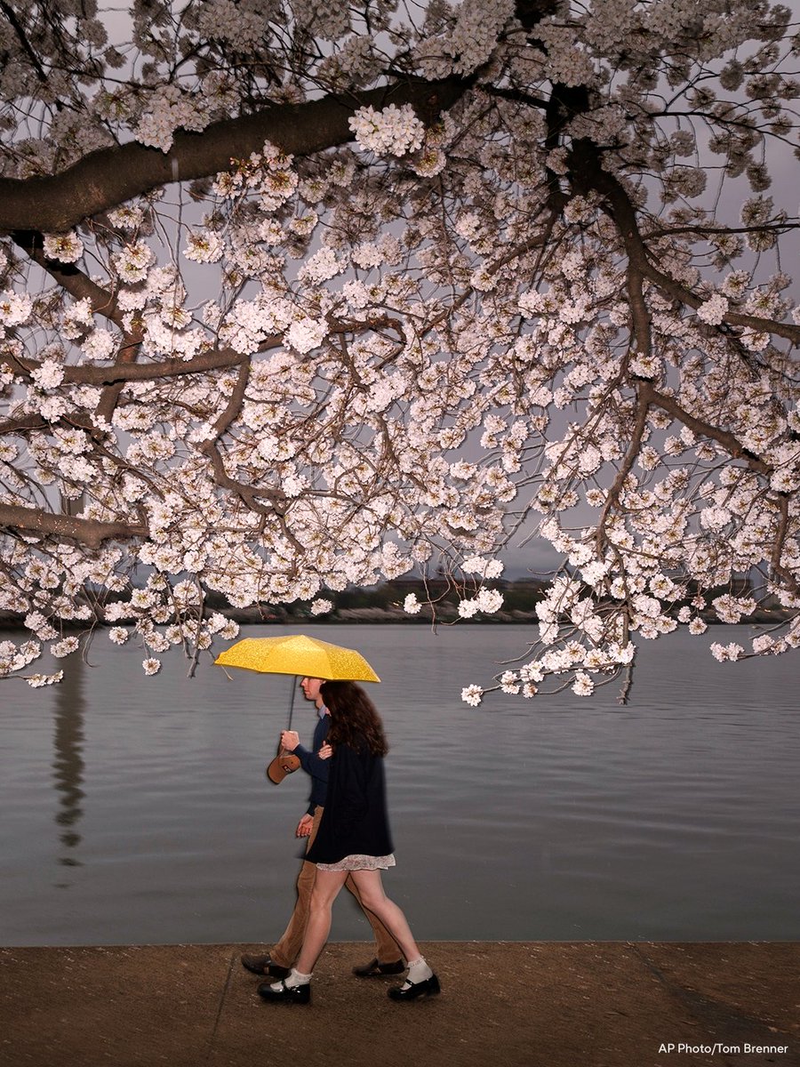 CBS News tweet media