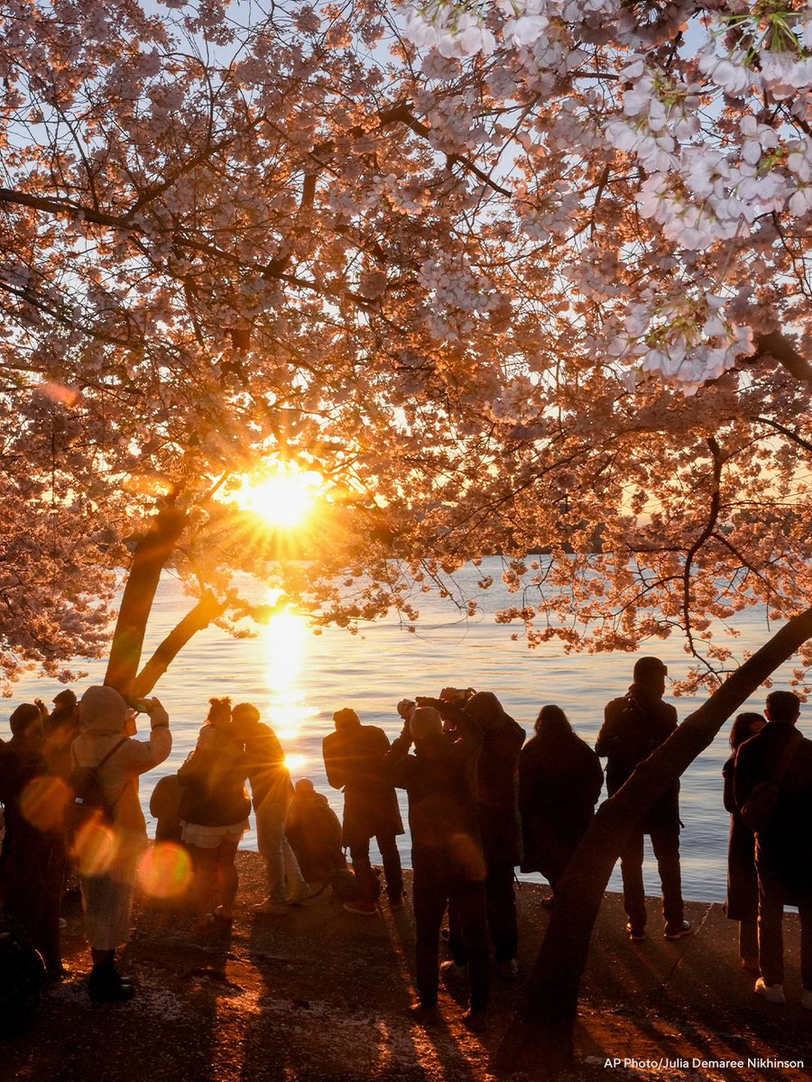 CBS News tweet media